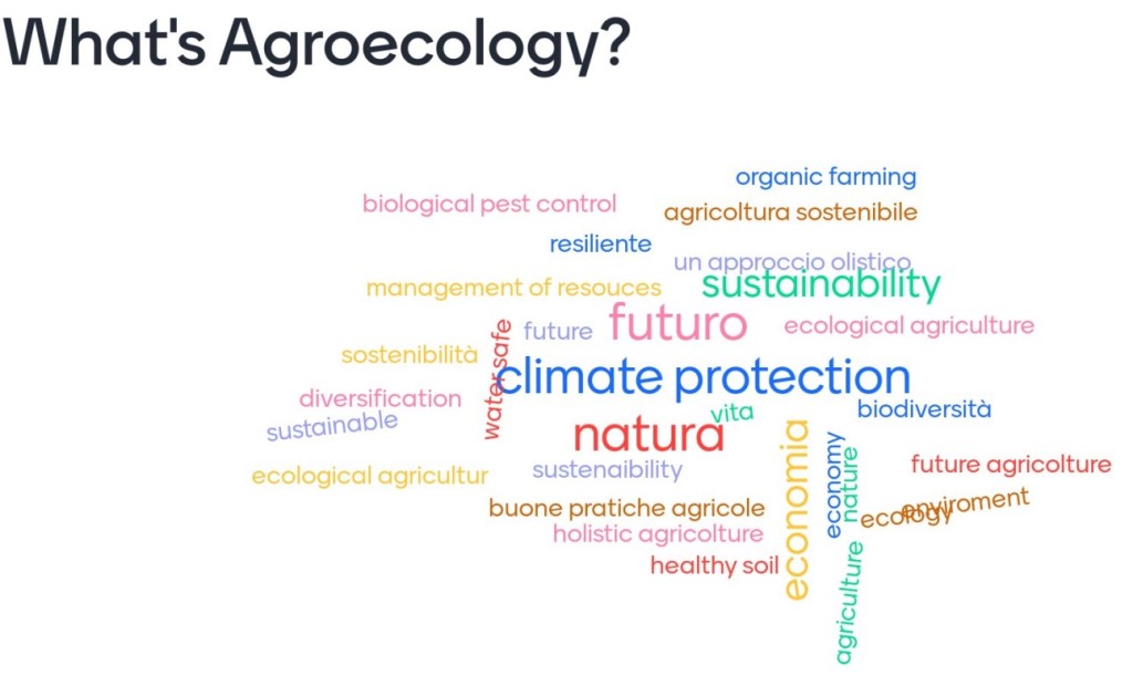This image has an empty alt attribute; its file name is valor-agroecology.jpg
